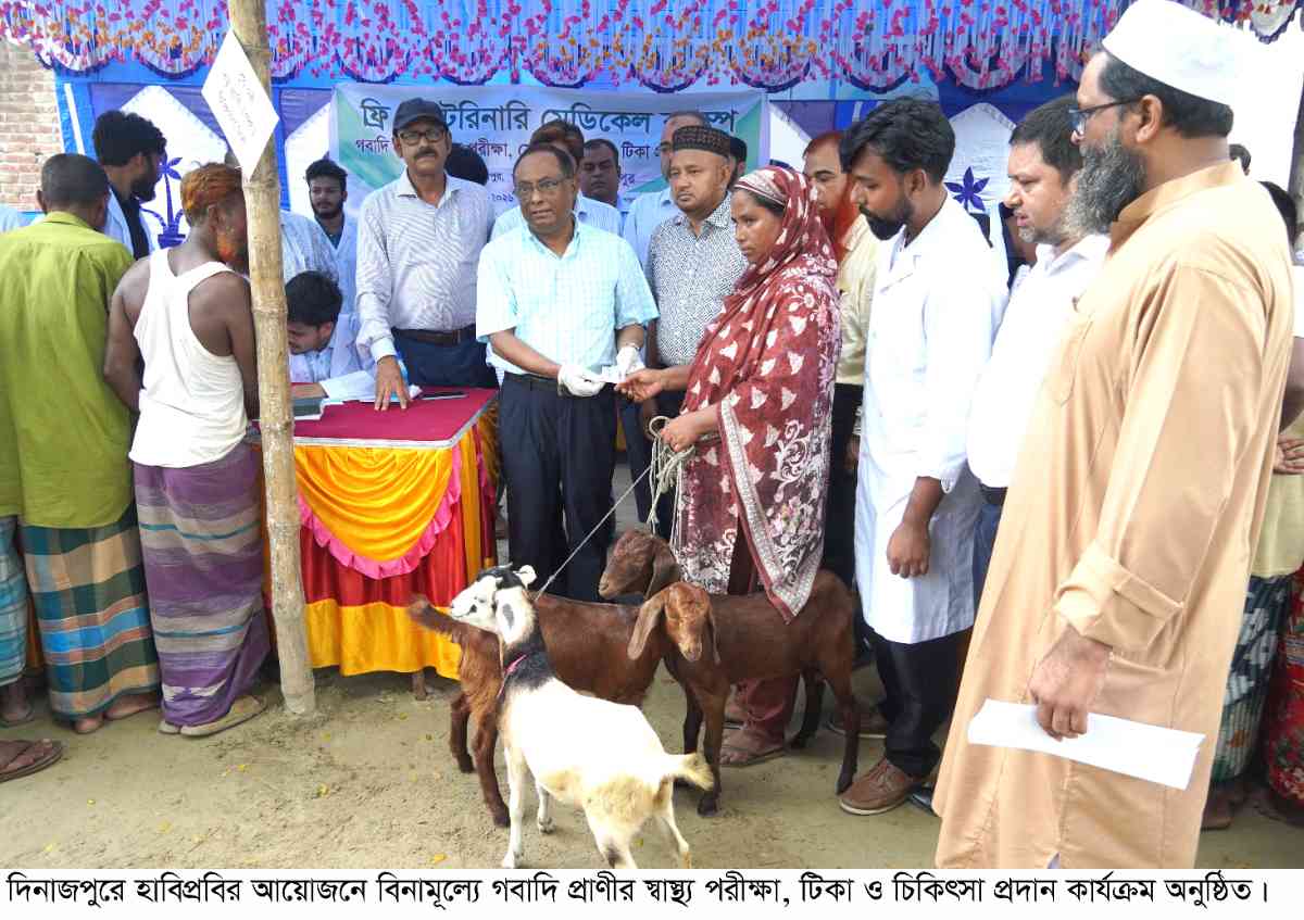 হাবিপ্রবির আয়োজনে বিনামূল্যে গবাদি প্রাণীর স্বাস্থ্য পরীক্ষা,টিকা ও চিকিৎসা প্রদান কার্যক্রম অনুষ্ঠিত
