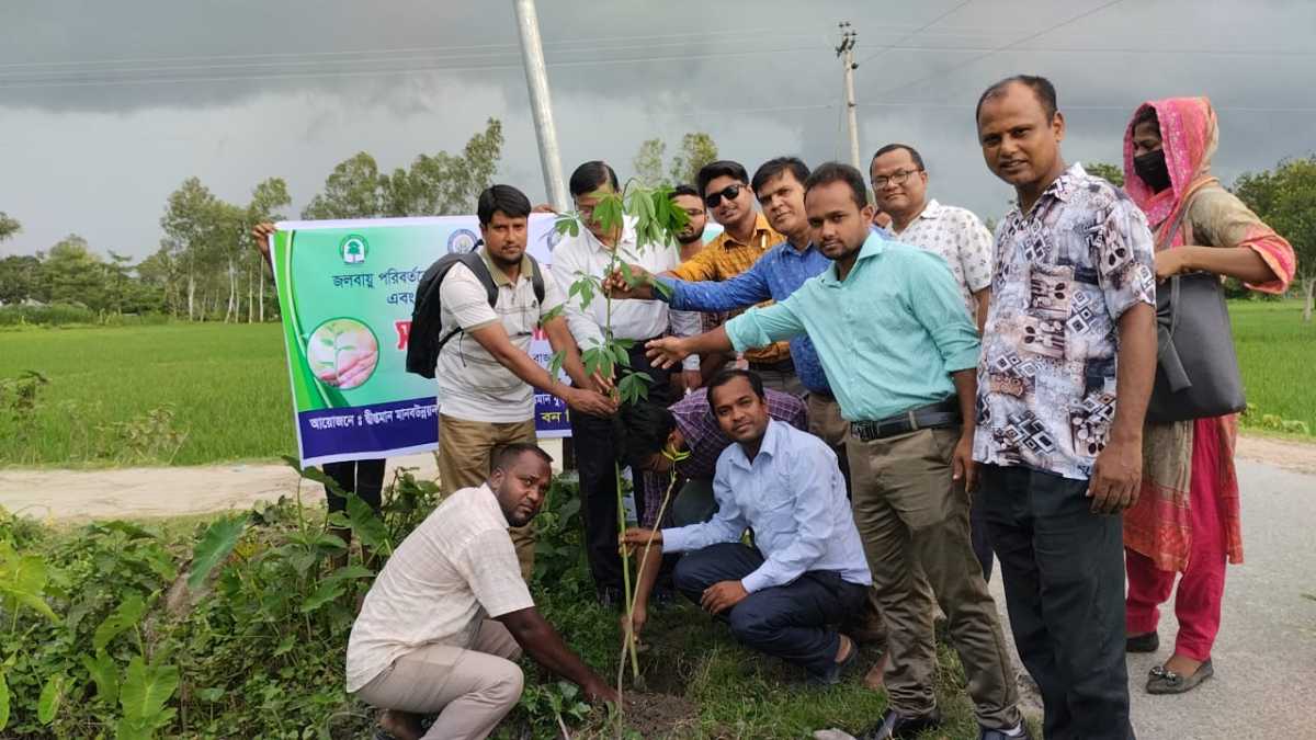 নীলফামারীতে ২ হাজার বৃক্ষরোপণ করল ধ্রুবতারা ইয়ুথ ডেভেলপমেন্ট ফাউন্ডেশন