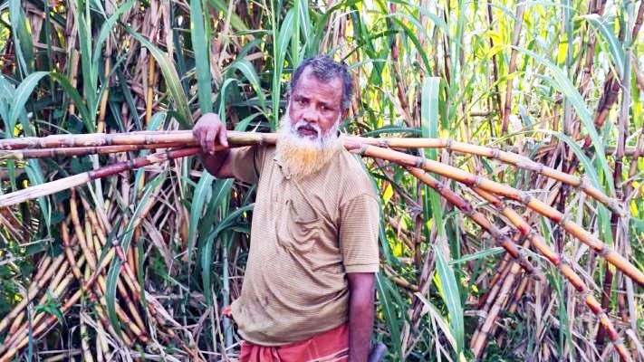 আখ চাষ ও রস বিক্রিতে বদলে গেছে মমিনুরের জীবন