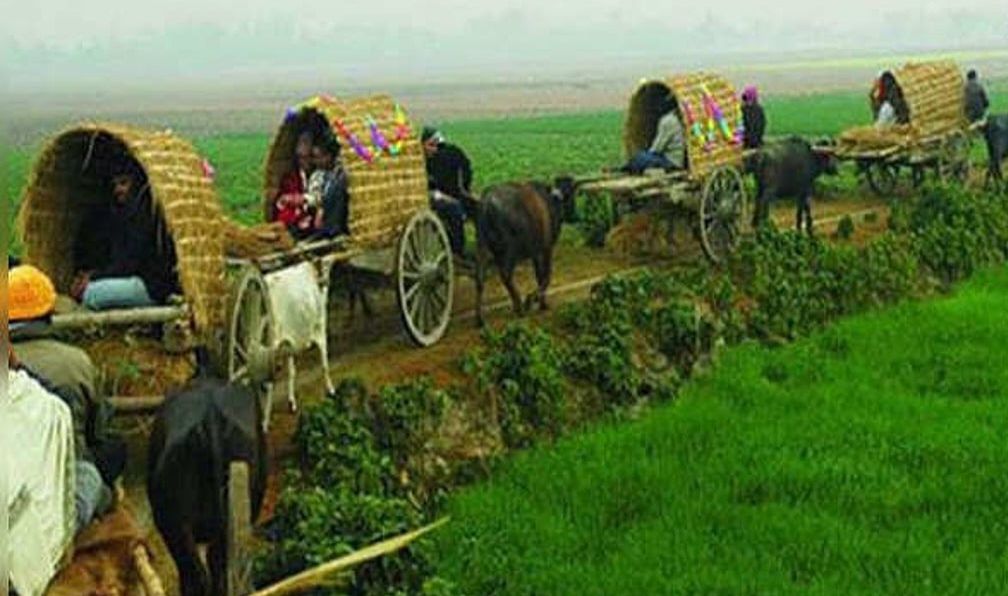 দিনাজপুরসহ উত্তরাঞ্চলে ঐতিহ্যবাহী 'ভাদর কাটানি' উৎসব শুরু 