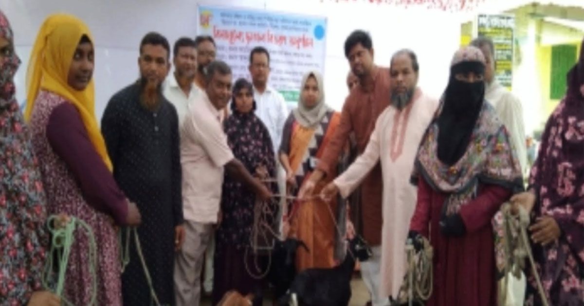 পঞ্চগড়ে অধিকার বঞ্চিত নারীদের মাঝে বিনামূল্যে মা ছাগল বিতরণ