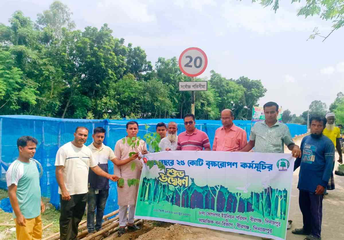 বীরগঞ্জে সৌন্দর্যবর্ধনে গাছের চারা রোপণ বটতলী থেকে সিংড়া ফরেস্ট সড়কের দুই পাশে