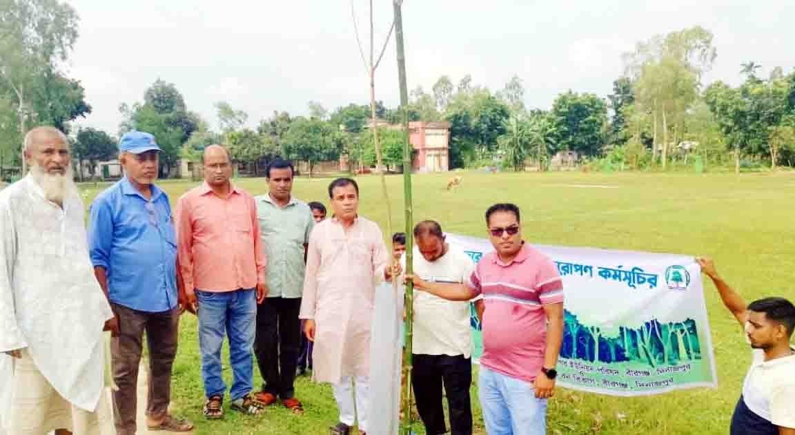বীরগঞ্জে সড়কের সৌন্দর্যবর্ধনে গাছের চারা রোপণ