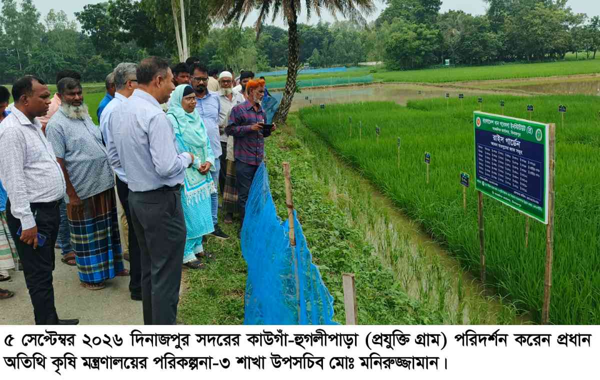দিনাজপুরে এলএসটিডি প্রকল্পের প্রযুক্তি গ্রাম পরিদর্শনে কৃষি মন্ত্রণালয়ের প্রতিনিধি দল