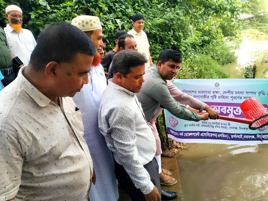 নবাবগঞ্জের নদীতে মাছের পোনা অবমুক্ত করলেন ইউএনও