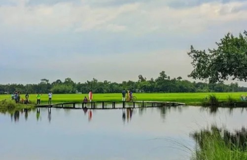 ভাইরাল কাঠের সেতু’ নামে পরিচিতি পেয়েছে সেতুটি।
