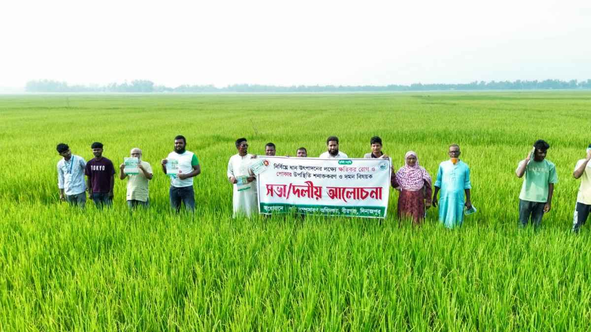 বীরগঞ্জে কৃষকদের নিয়ে ধানের ক্ষতিকর রোগ ও পোকামাকড় দমনে কৃষি বিভাগের সচেতনতামূলক কার্যক্রম