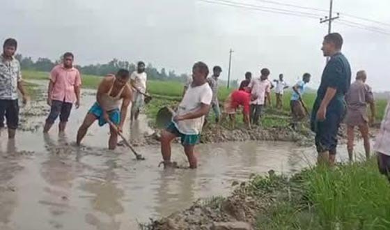 গাইবান্ধায় স্বেচ্ছাশ্রমে জিনিয়ার বিল খনন