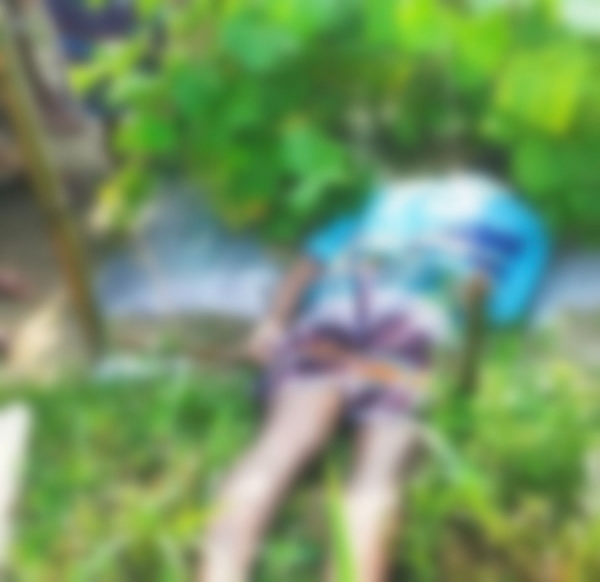 শিয়াল ঠেকাতে অবৈধ বৈদ্যুতিক ফাঁদে প্রাণ গেল টাইলস মিস্ত্রির