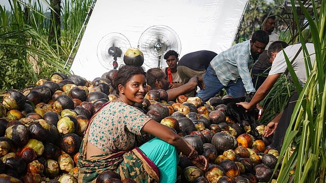 চূড়ান্তভাবে বাংলাদেশের সিনেমা হিসেবে নির্বাচিত হয়েছে ‘রইদ’।