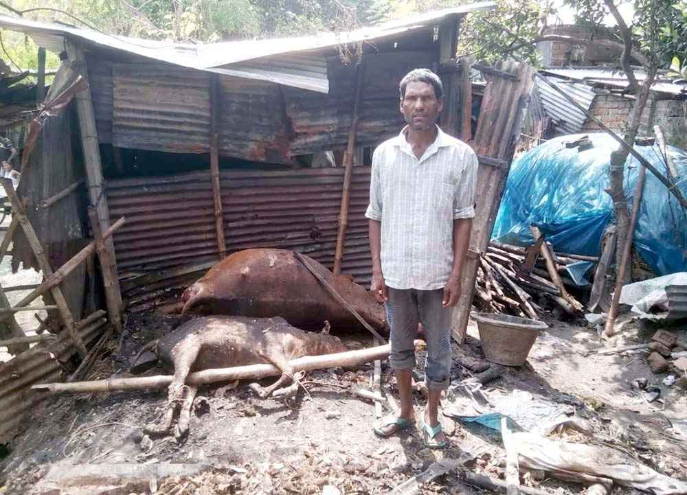 ফুুলবাড়ীতে অগ্নিকাণ্ডে বসতঘর পুড়ে ছাই, ৪ গবাদিপশুর মৃত্যু