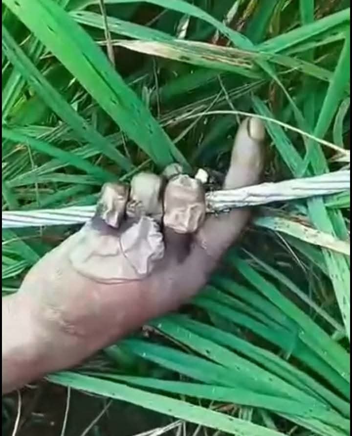 পার্বতীপুরে তার চুরি করতে গিয়ে বিদ্যুৎস্পৃষ্টে মৃত্যু