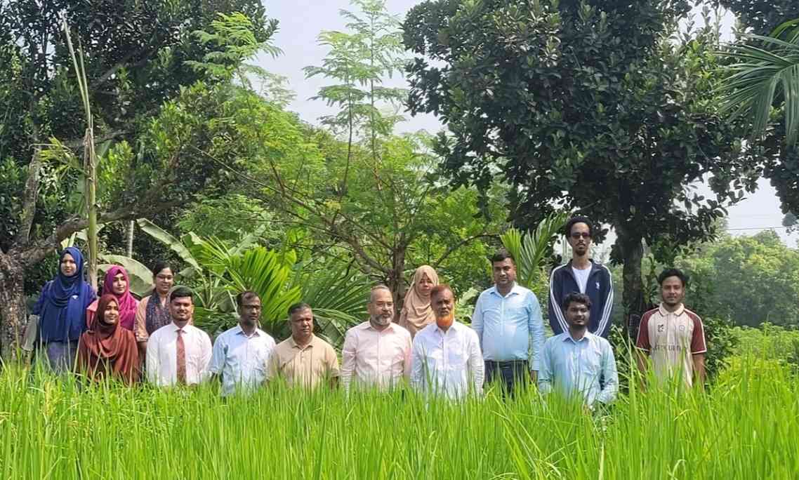 হাবিপ্রবিতে ব্লাস্ট প্রতিরোধী ও চরাঞ্চল উপযোগী ধানের জাত উদ্ভাবনে নতুন সম্ভাবনা