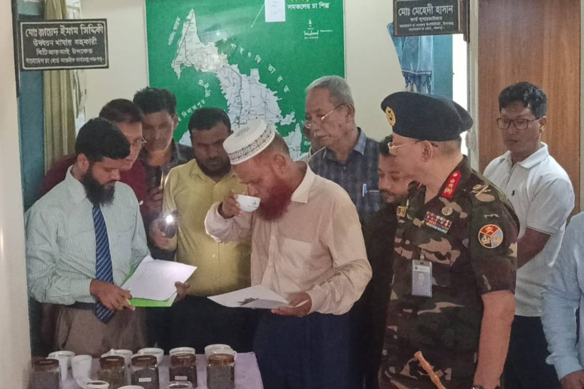 উত্তরাঞ্চলের চা শিল্পকে এগিয়ে নিতে পঞ্চগড়ে প্রশিক্ষণ ও চা আস্বাদনী অধিবেশন 
