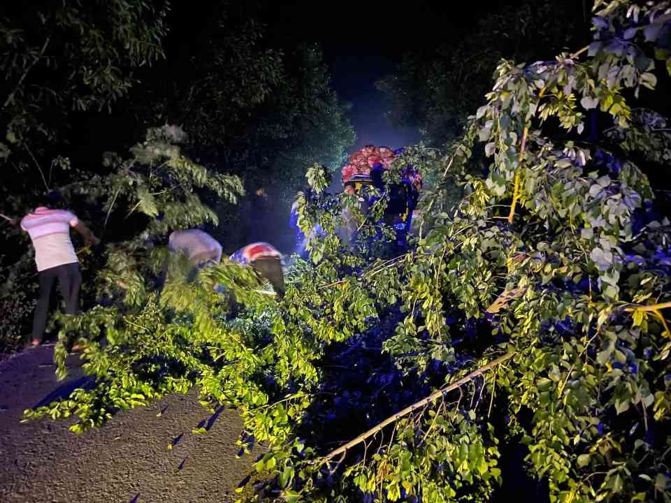 নবাবগঞ্জে সড়কে গাছ ফেলে ডাকাতির চেষ্টা, চার গাড়িতে ভাঙচুর-লুটপাট