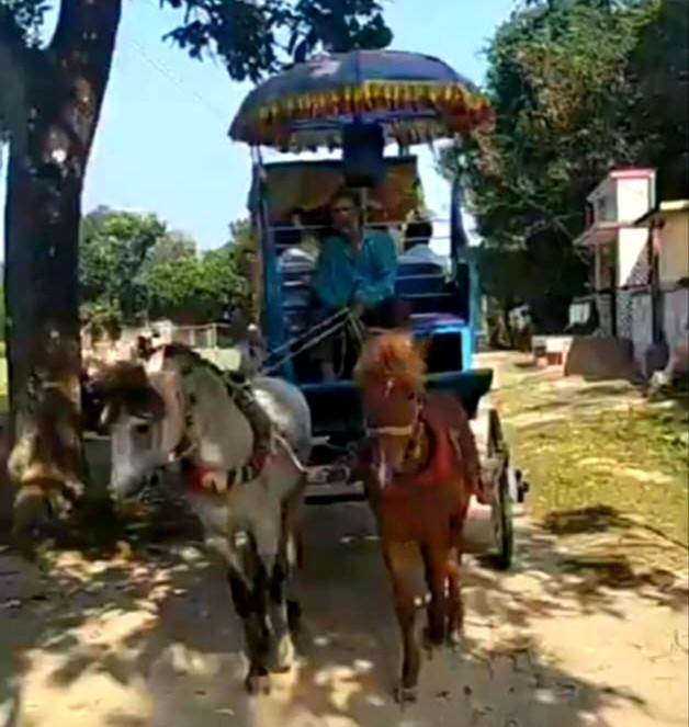 নবাবগঞ্জে ঘোড়ার গাড়িতে শিক্ষকের রাজকীয় বিদায় সংবর্ধনা