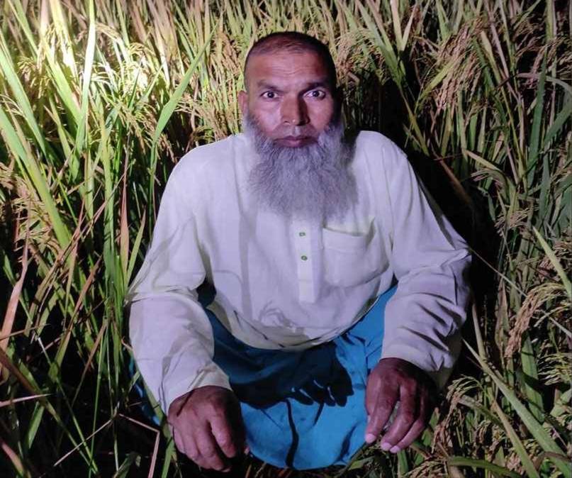 ধানখেতে আত্মগোপন করা আওয়ামীলীগ নেতা আটক